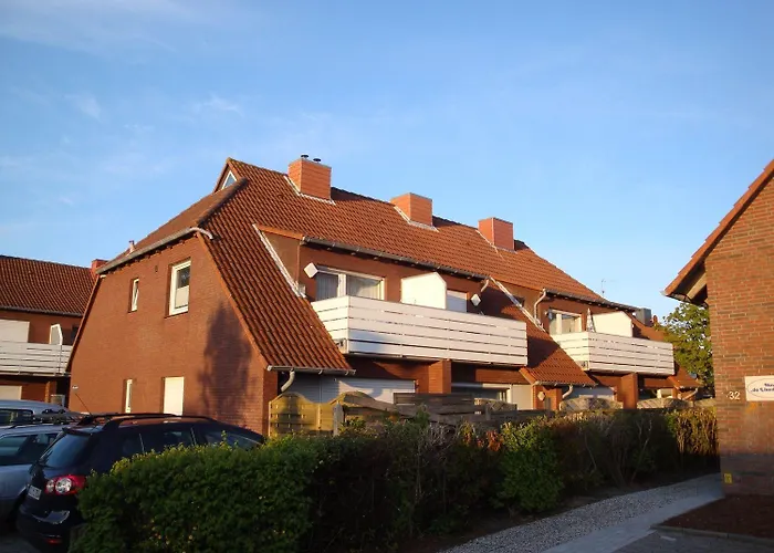 Seestern Norddeich 